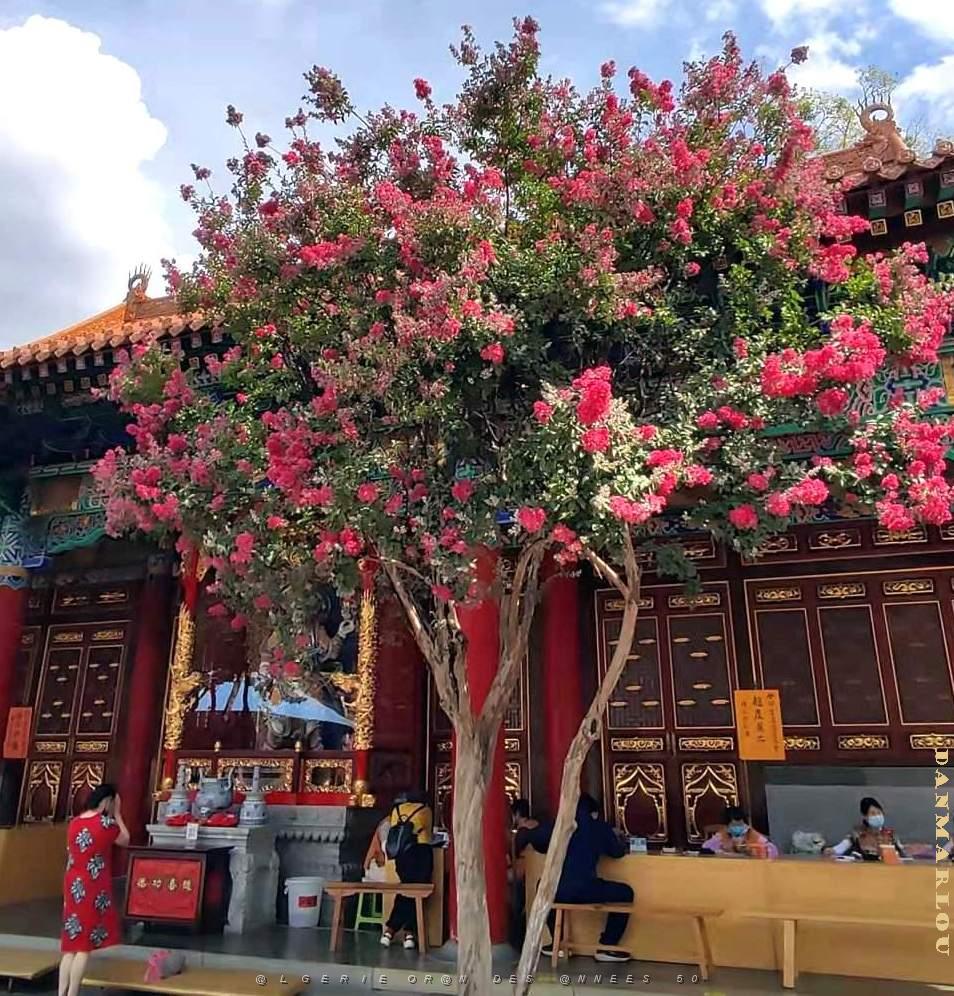KUNMING - Temple YUANTONG - 21.jpg